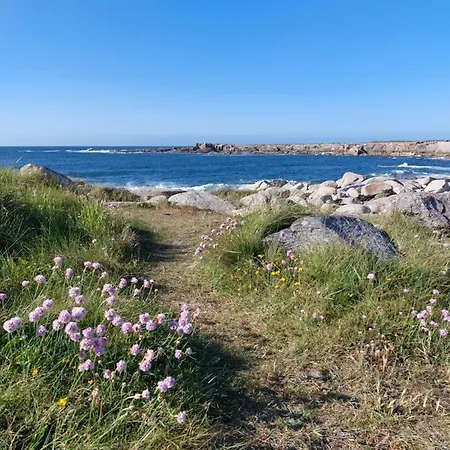 Île Grande, Location maison saisonnière chez Dom et Cathy C Pleumeur-Bodou Extérieur photo
