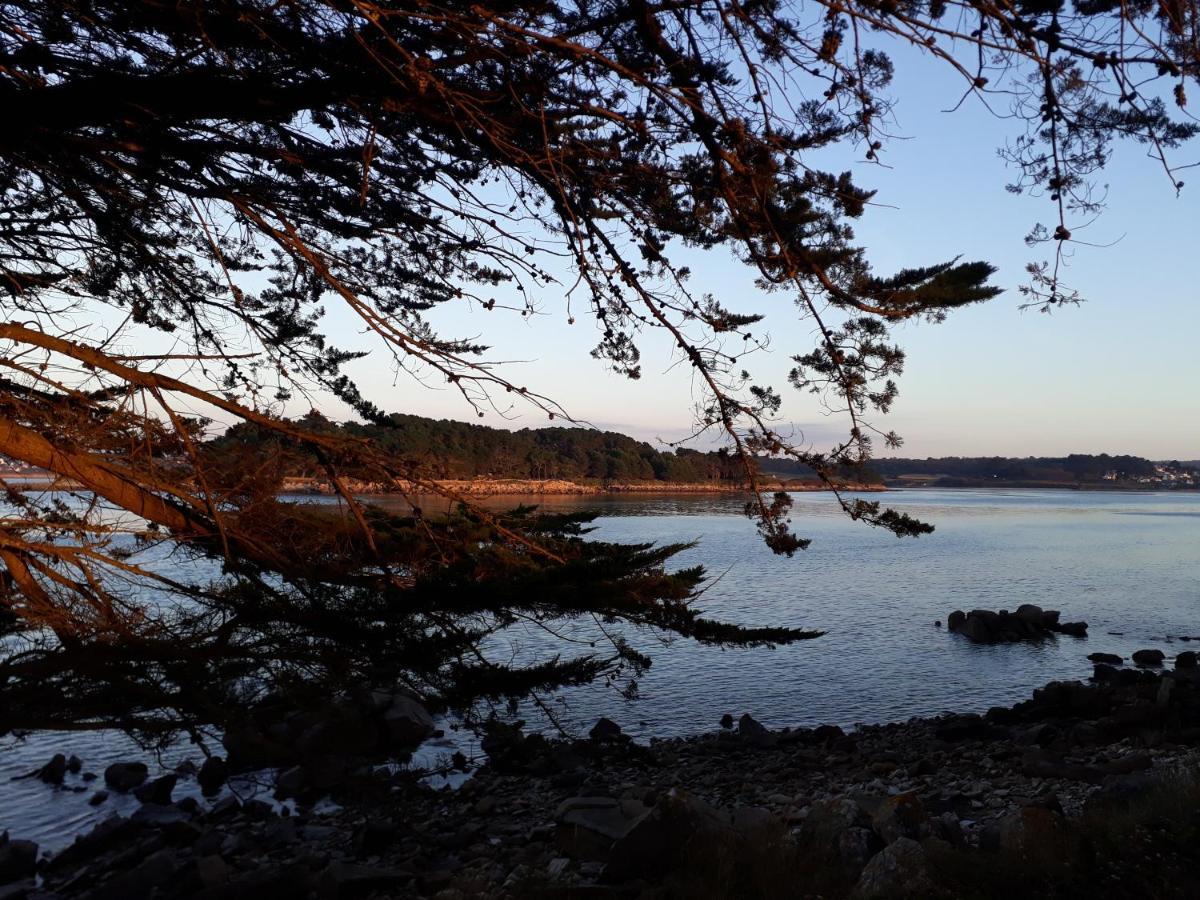 Ile Grande, Location Maison Saisonniere Chez Dom Et Cathy C Pleumeur-Bodou